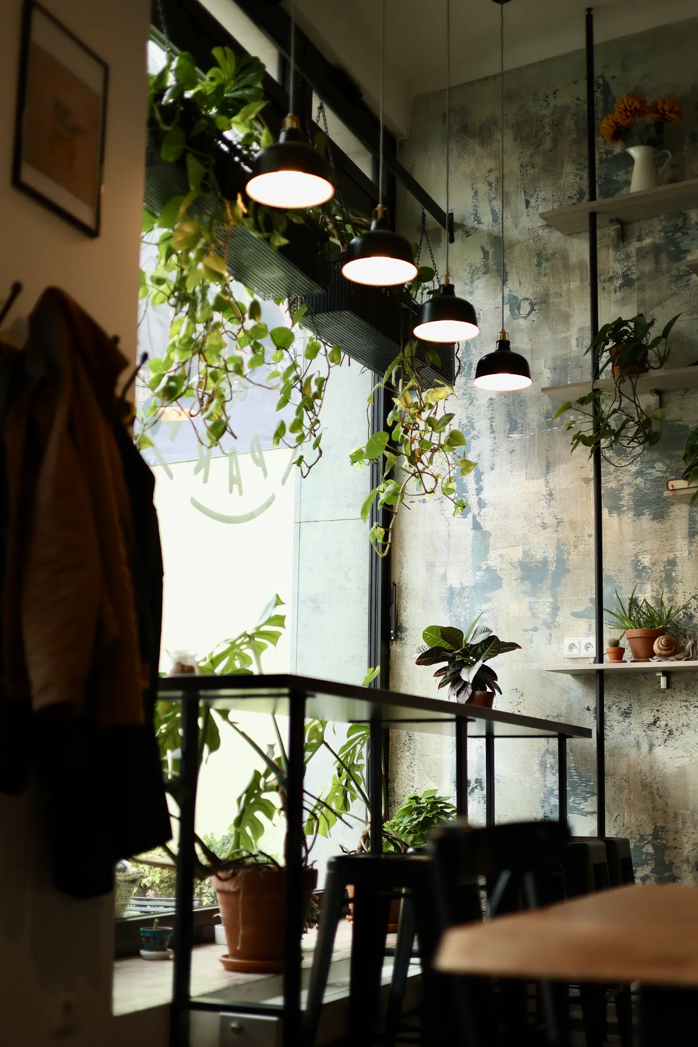 Interiér Coffee Park, závěsné lampy a rostliny u vysokého okna